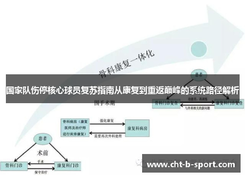 国家队伤停核心球员复苏指南从康复到重返巅峰的系统路径解析