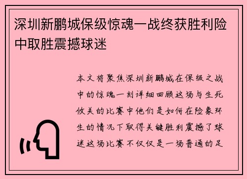 深圳新鹏城保级惊魂一战终获胜利险中取胜震撼球迷